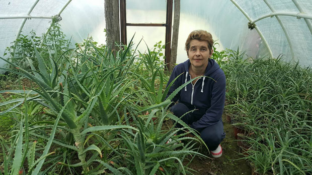 Сама се излечила па мелемом лечи друге